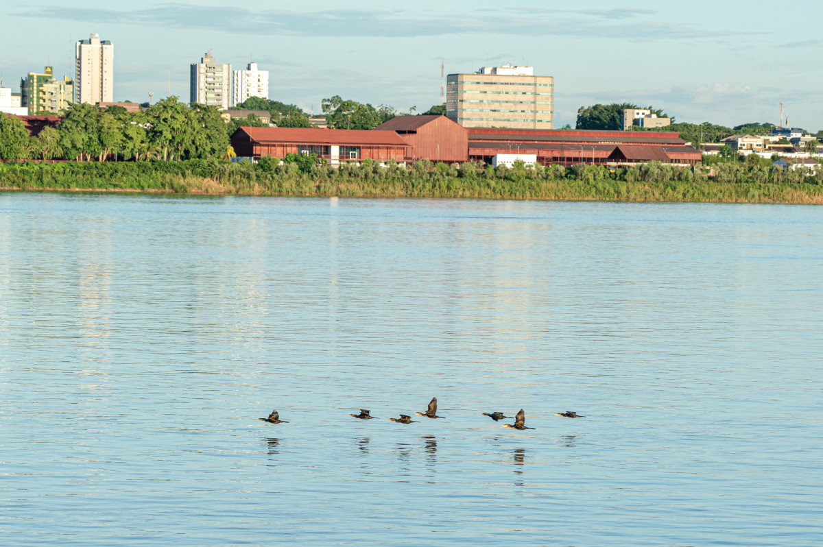 Porto Velho é um município de encantos, de muita história, de um caldeirão cultural e com um povo trabalhador