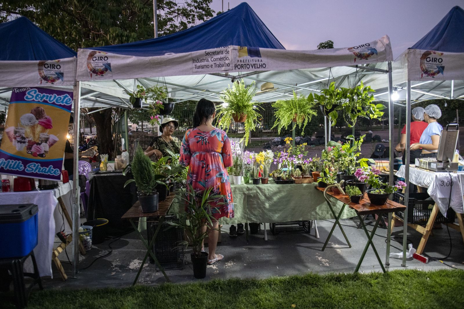 As plantas ornamentais também estão entre as opções expostas